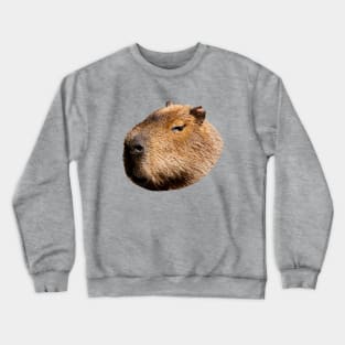 Capybara Profile Crewneck Sweatshirt